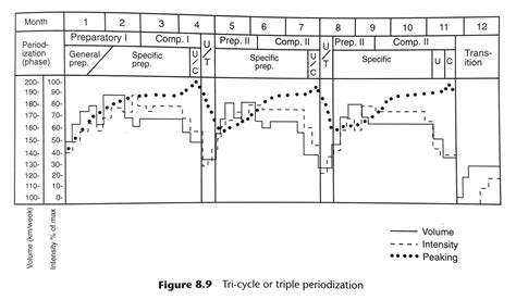 tudor bompa 1994 training principles|tudor bompa periodization training.